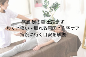 段落テキスト (41)