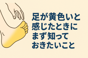 ChatGPT Image 2025年12月12日 10_05_38