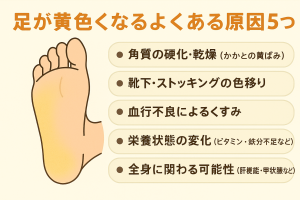 ChatGPT Image 2025年12月12日 10_08_39