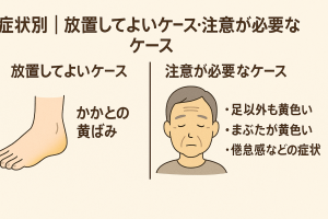 ChatGPT Image 2025年12月12日 10_23_19