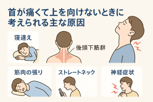 ChatGPT Image 2025年12月13日 10_59_49